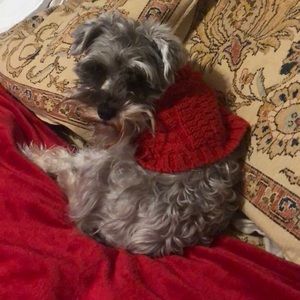 Meet your Posher, Cindy